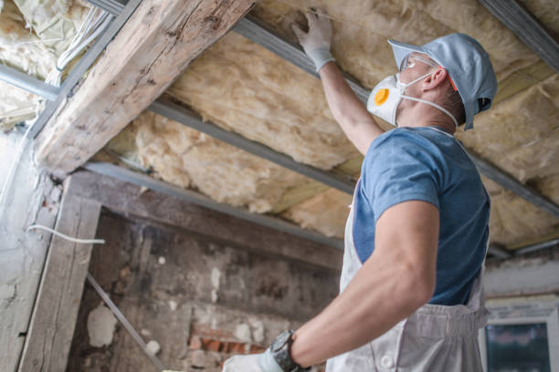 Best Insulation for Specific Applications in Metropolis, IL